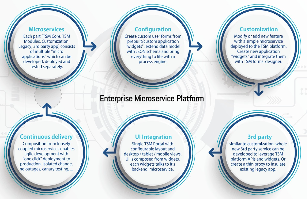 tsm_microservice_platform.png